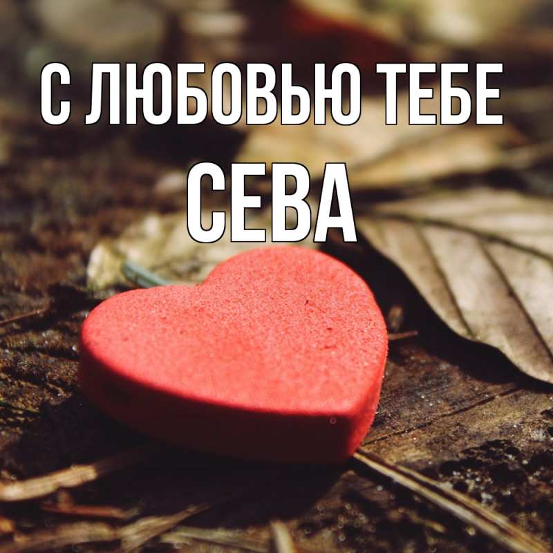 Картинка С любовью тебе, Сева