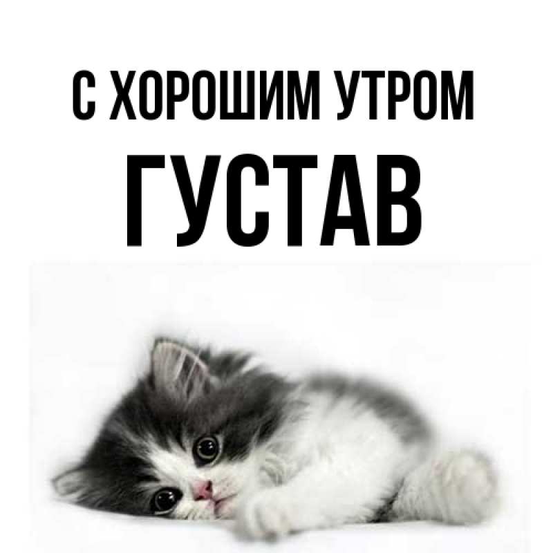 Картинка С хорошим утром, Густав