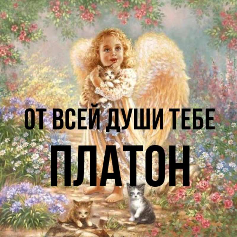 Открытка с именем, Платон, От всей души тебе