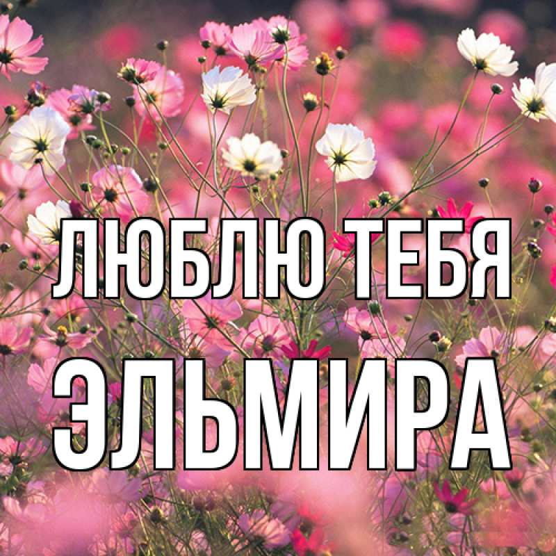 Открытка с именем, Эльмира, Люблю тебя