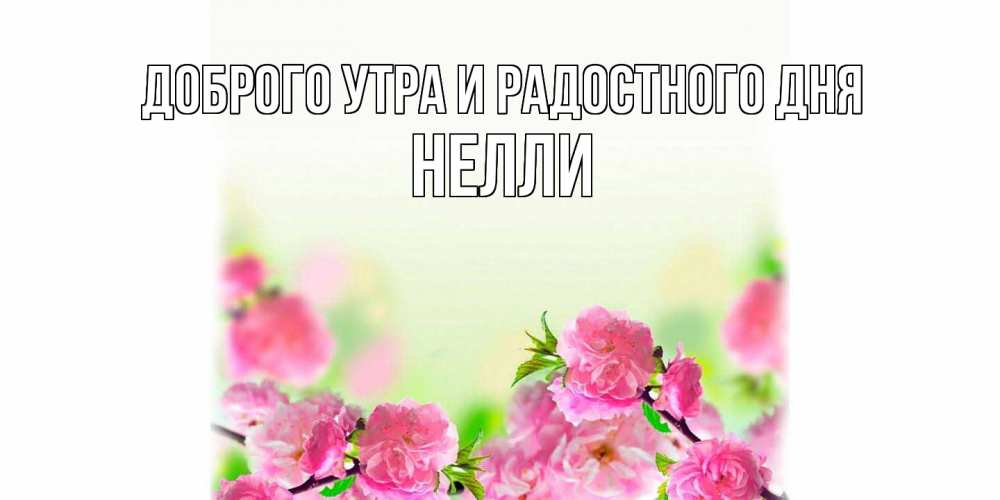 Открытка на каждый день с именем, Нелли Доброго утра и радостного дня цветы Прикольная открытка с пожеланием онлайн скачать бесплатно 