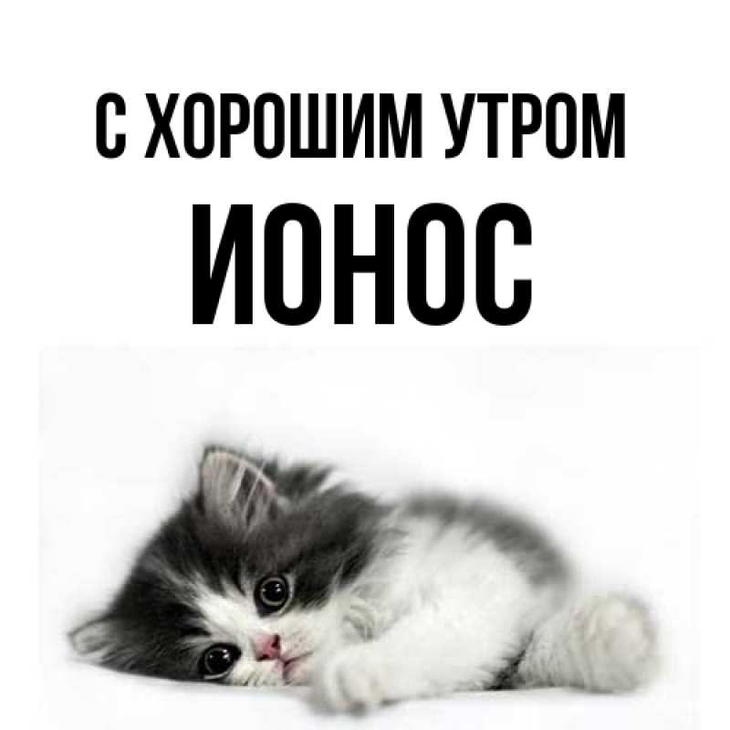 Картинка С хорошим утром, Ионос