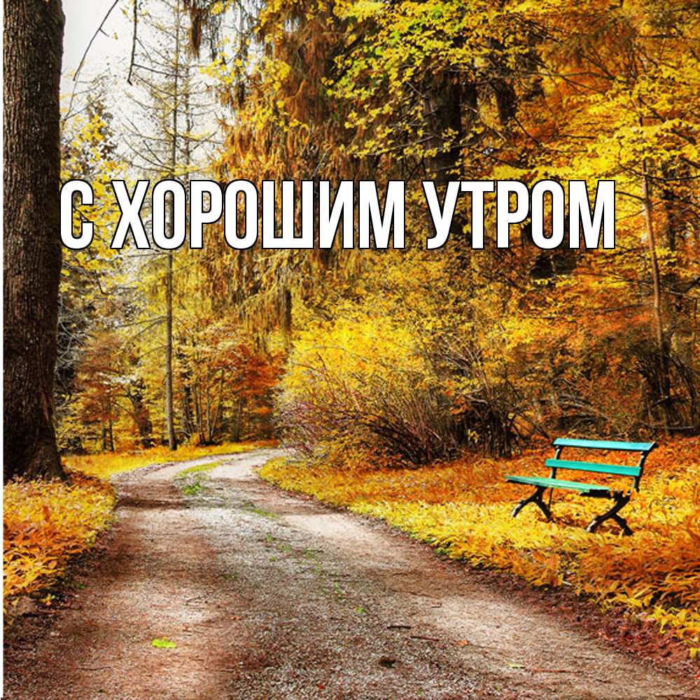 Открытка на каждый день с именем, Дамира Скучашки зеленая лавочка и осенний лес Прикольная открытка с пожеланием онлайн скачать бесплатно 