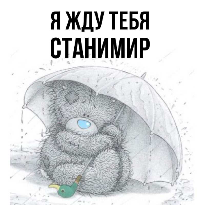 Картинка Я жду тебя, Станимир