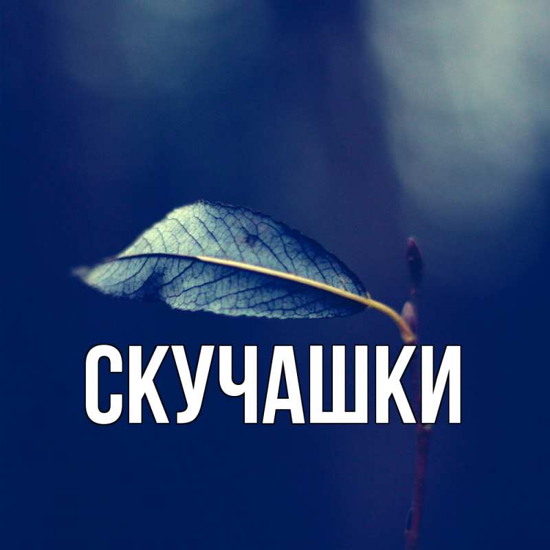 Картинка Скучашки, 