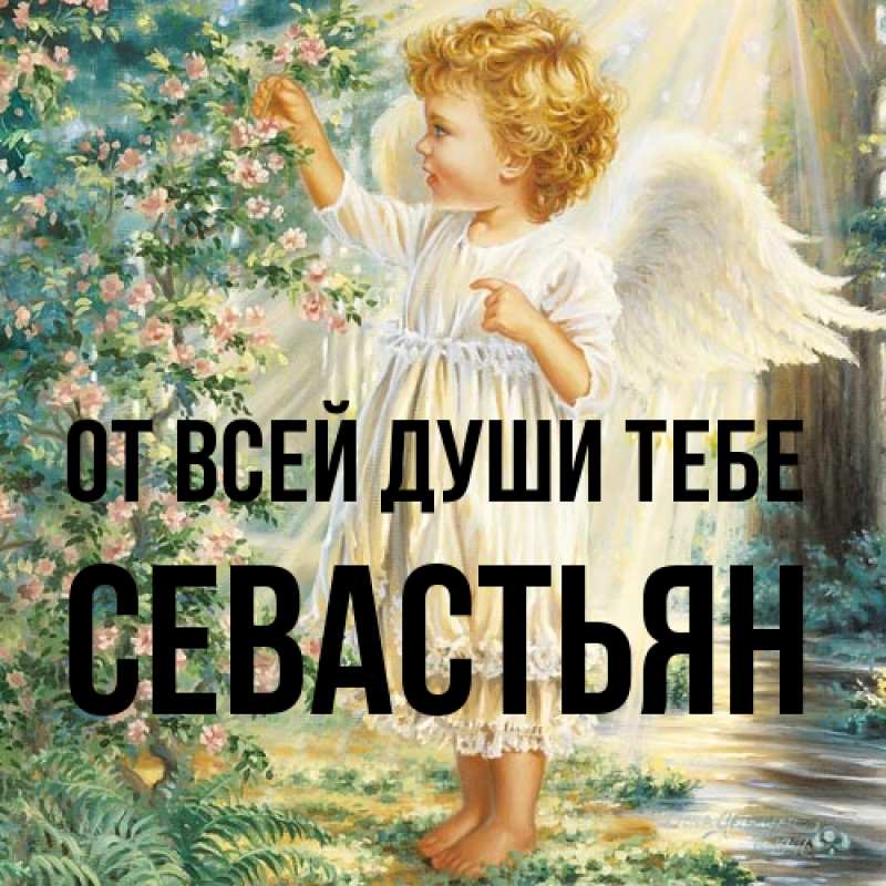 Картинка От всей души тебе, Севастьян