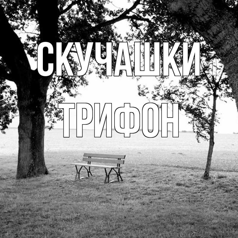 Картинка Скучашки, Трифон