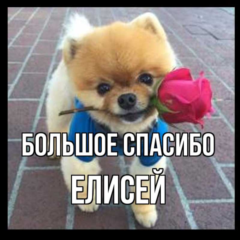 Открытка с именем, Елисей, Большое спасибо