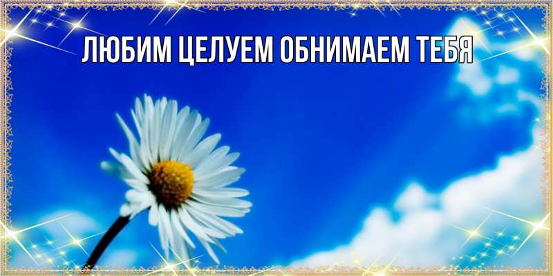 Картинка Люблю тебя, Ненаглядный мой