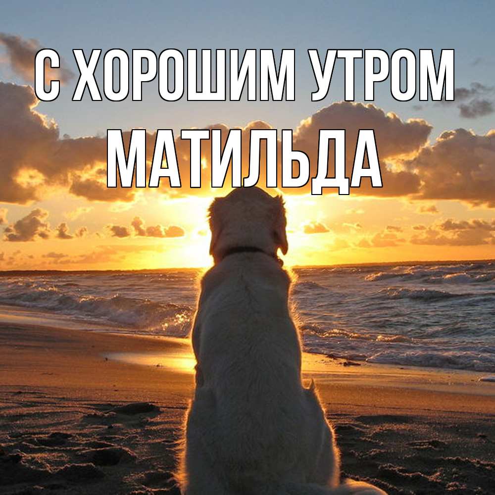 Открытка на каждый день с именем, Матильда С хорошим утром восход солнца Прикольная открытка с пожеланием онлайн скачать бесплатно 