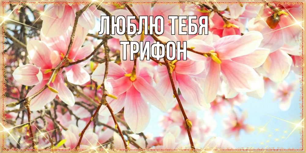 Открытка на каждый день с именем, Трифон Люблю тебя цветы деревьев на 8 марта Прикольная открытка с пожеланием онлайн скачать бесплатно 