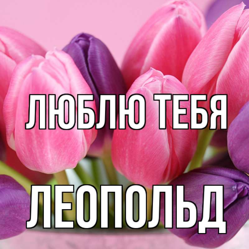 Картинка Люблю тебя, Леопольд