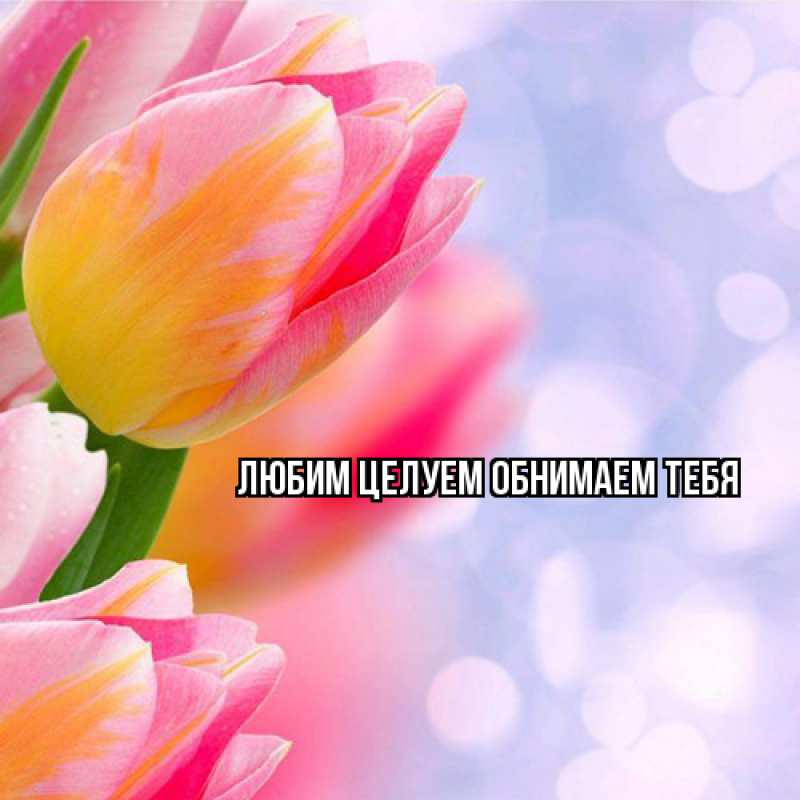 Картинка Люблю тебя, Ненаглядный мой