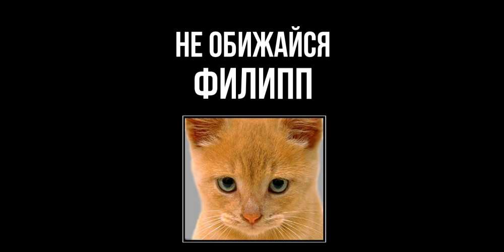 Открытка на каждый день с именем, Филипп Не обижайся рыжий грустный кот просит прощения Прикольная открытка с пожеланием онлайн скачать бесплатно 