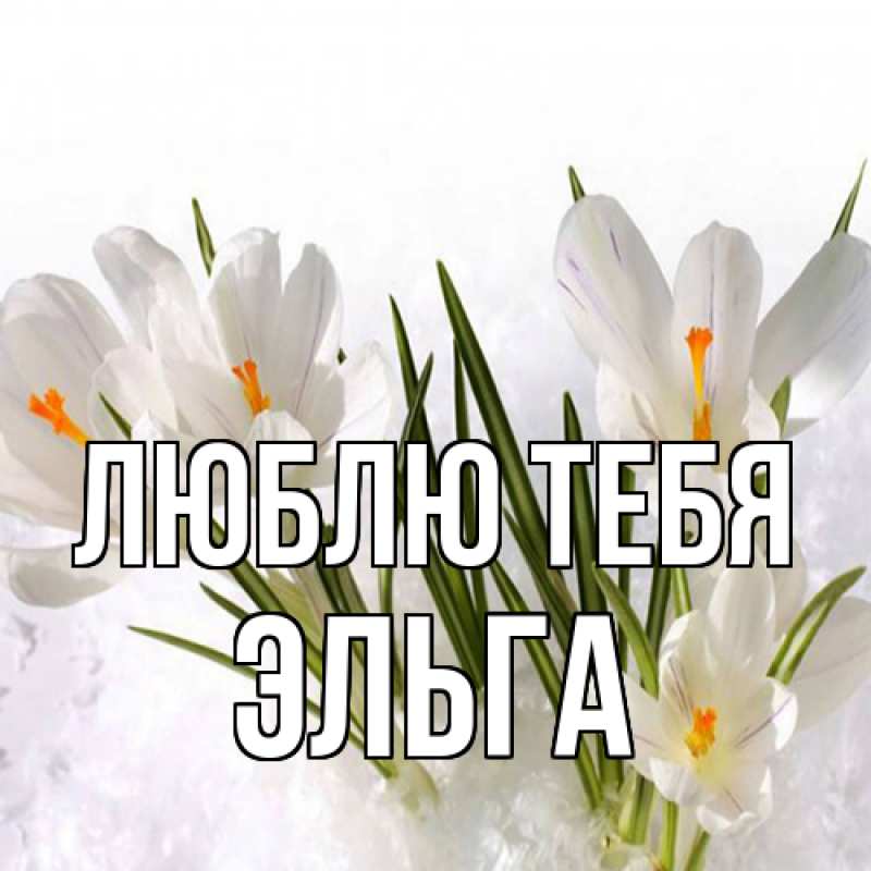 Картинка Люблю тебя, Эльга