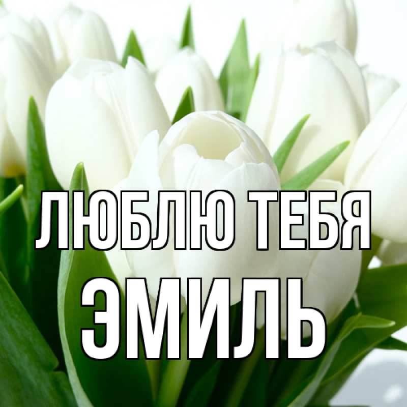 Картинка Люблю тебя, Эмиль