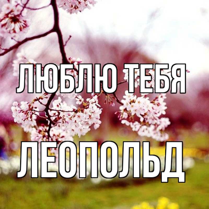 Картинка Люблю тебя, Леопольд