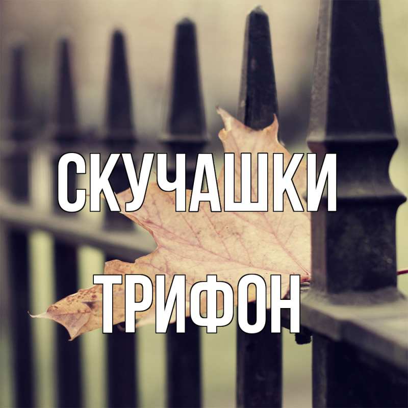 Картинка Скучашки, Трифон