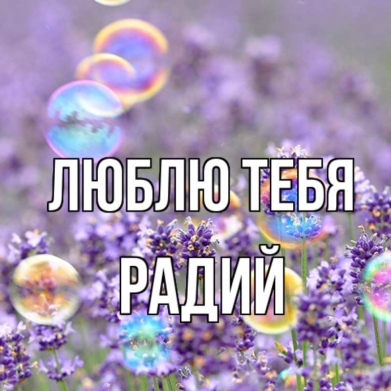 Картинка Люблю тебя, Радий