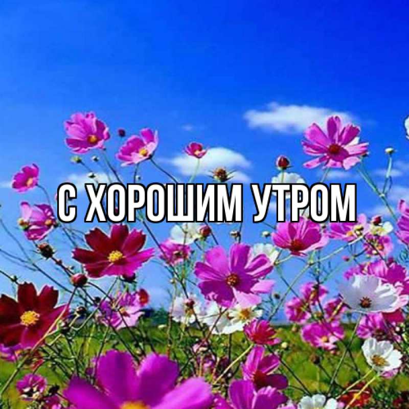 Картинка С хорошим утром, 