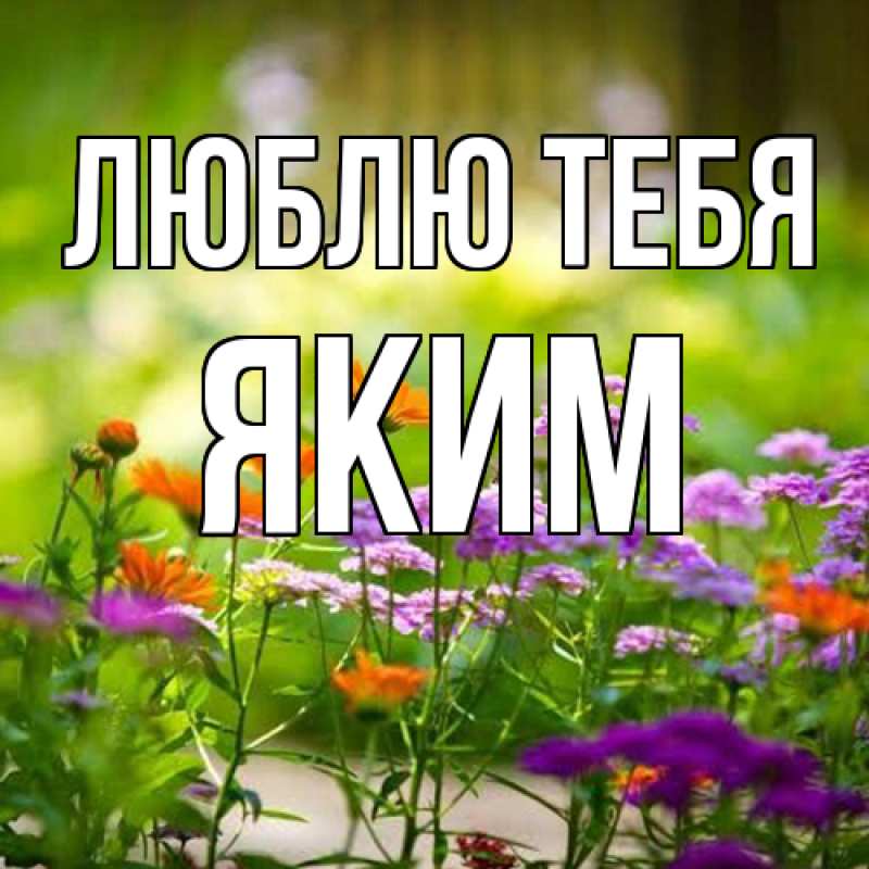 Картинка Люблю тебя, Яким