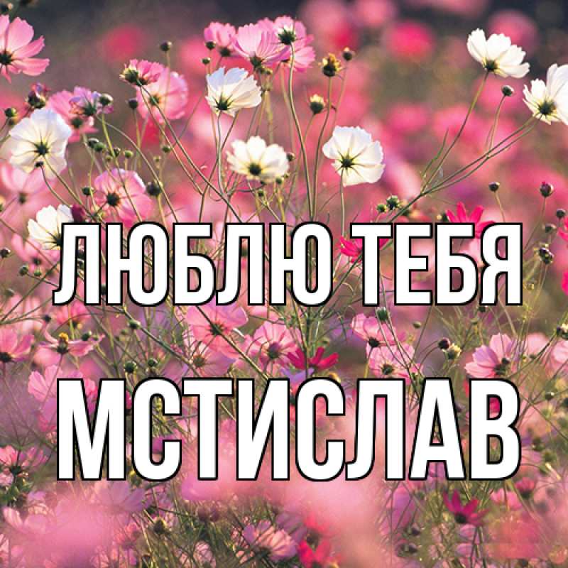 Картинка Люблю тебя, Мстислав