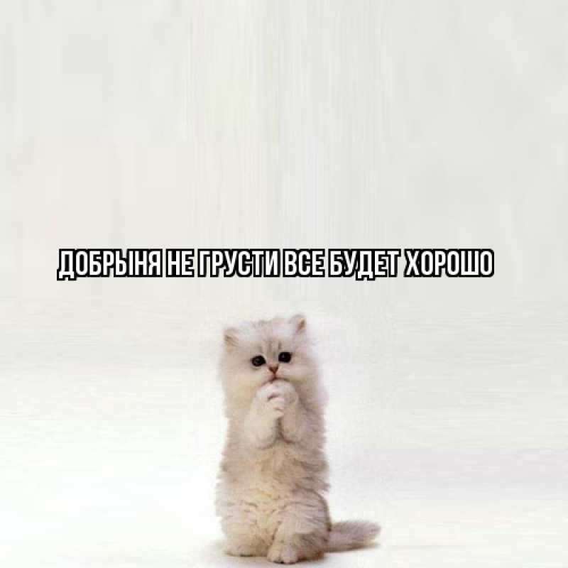 Картинка Не грусти, все будет хорошо, Добрыня