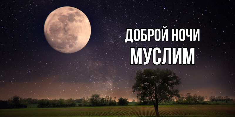 Картинка Доброй ночи, Муслим
