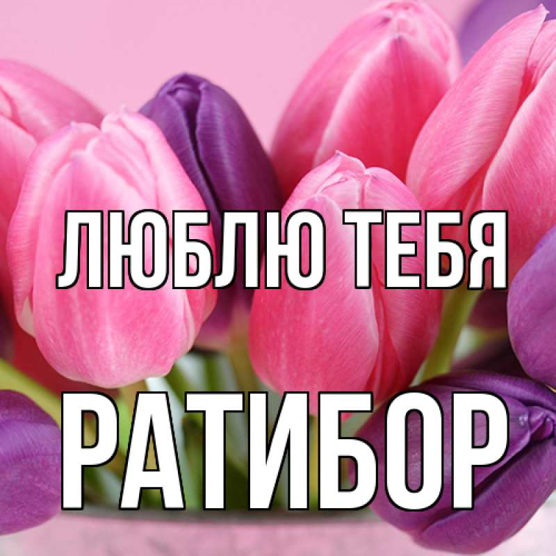 Картинка Люблю тебя, Ратибор