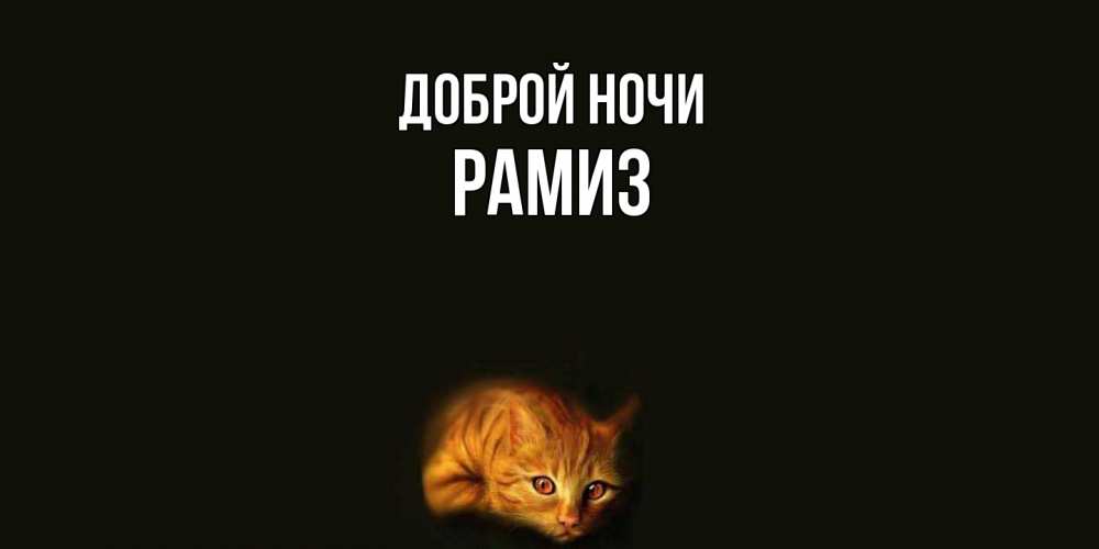 Открытка на каждый день с именем, Рамиз Доброй ночи кот Прикольная открытка с пожеланием онлайн скачать бесплатно 