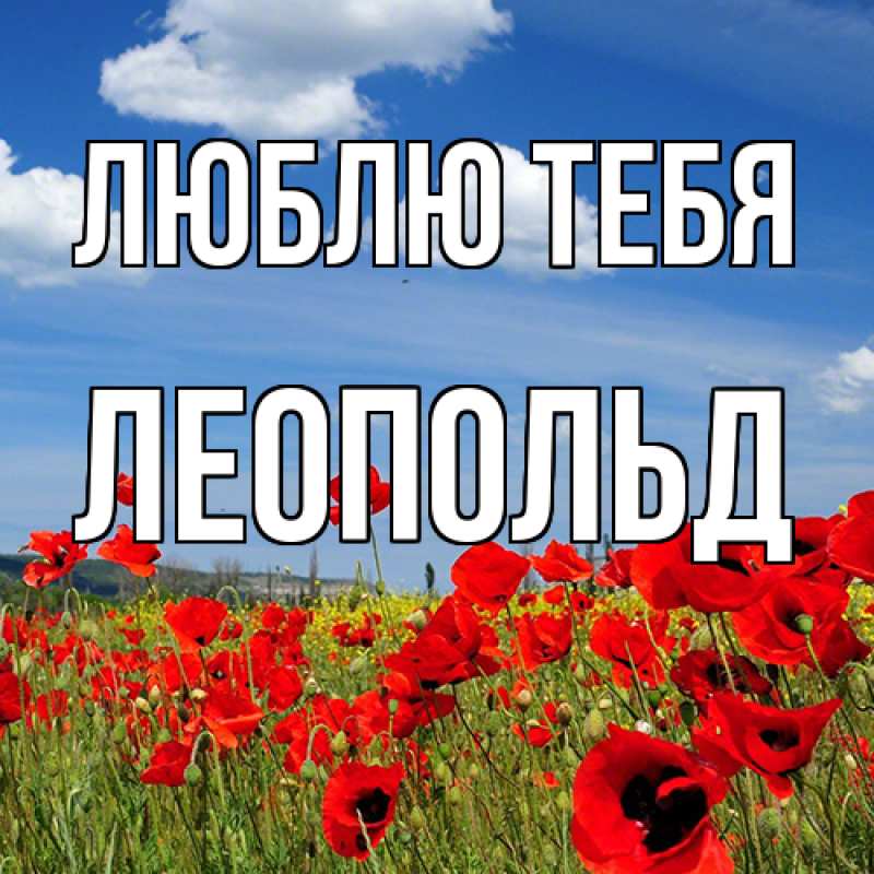 Картинка Люблю тебя, Леопольд