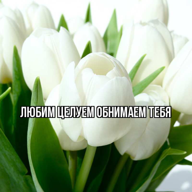 Картинка Люблю тебя, Ненаглядный мой