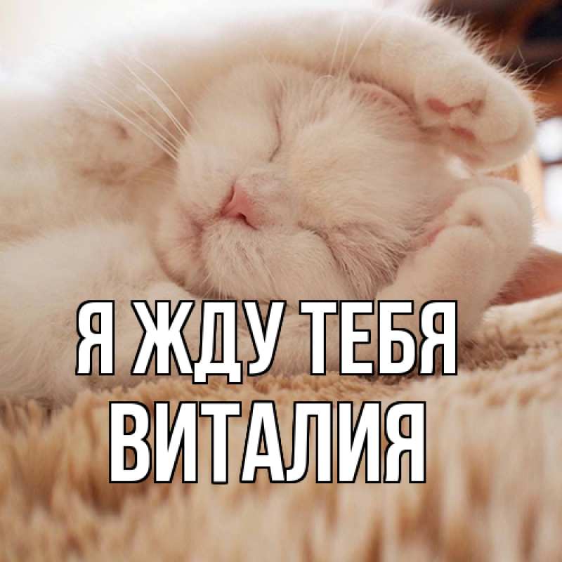 Открытка с именем, Виталия, Я жду тебя