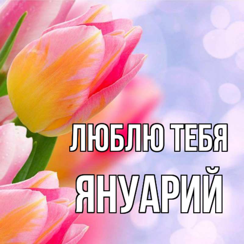 Картинка Люблю тебя, Януарий