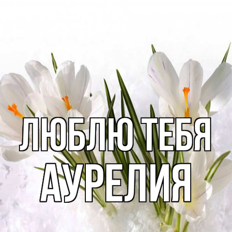 Картинка Люблю тебя, Аурелия