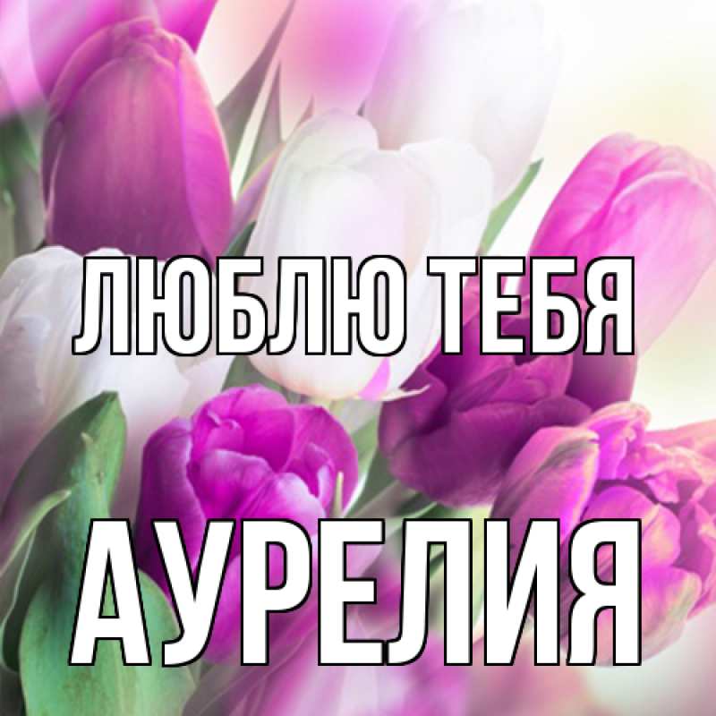 Картинка Люблю тебя, Аурелия