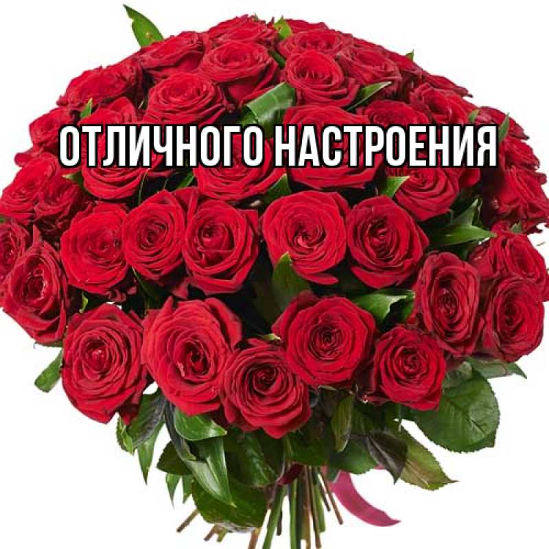 Картинка Большое спасибо, Гуля