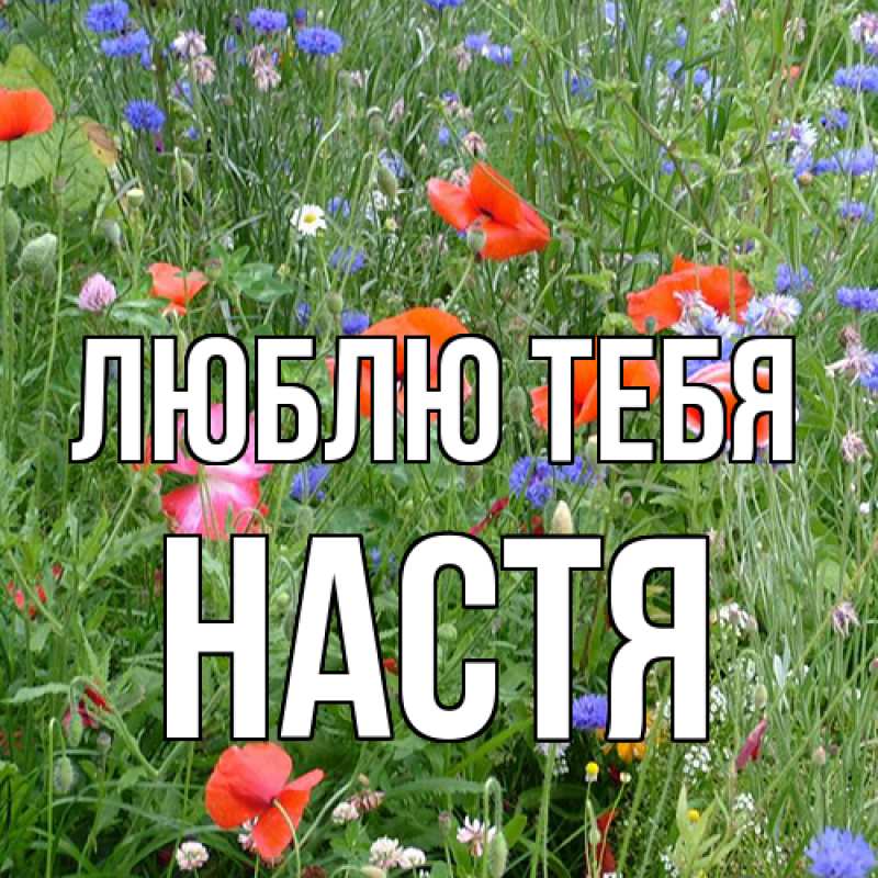 Картинка Люблю тебя, Настя