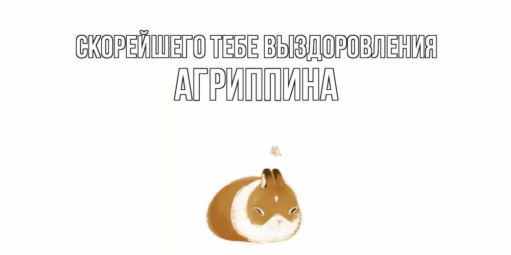 Открытка на каждый день с именем, Агриппина Скорейшего тебе выздоровления морская свинка на открытке с пожеланиями не болеть Прикольная открытка с пожеланием онлайн скачать бесплатно 