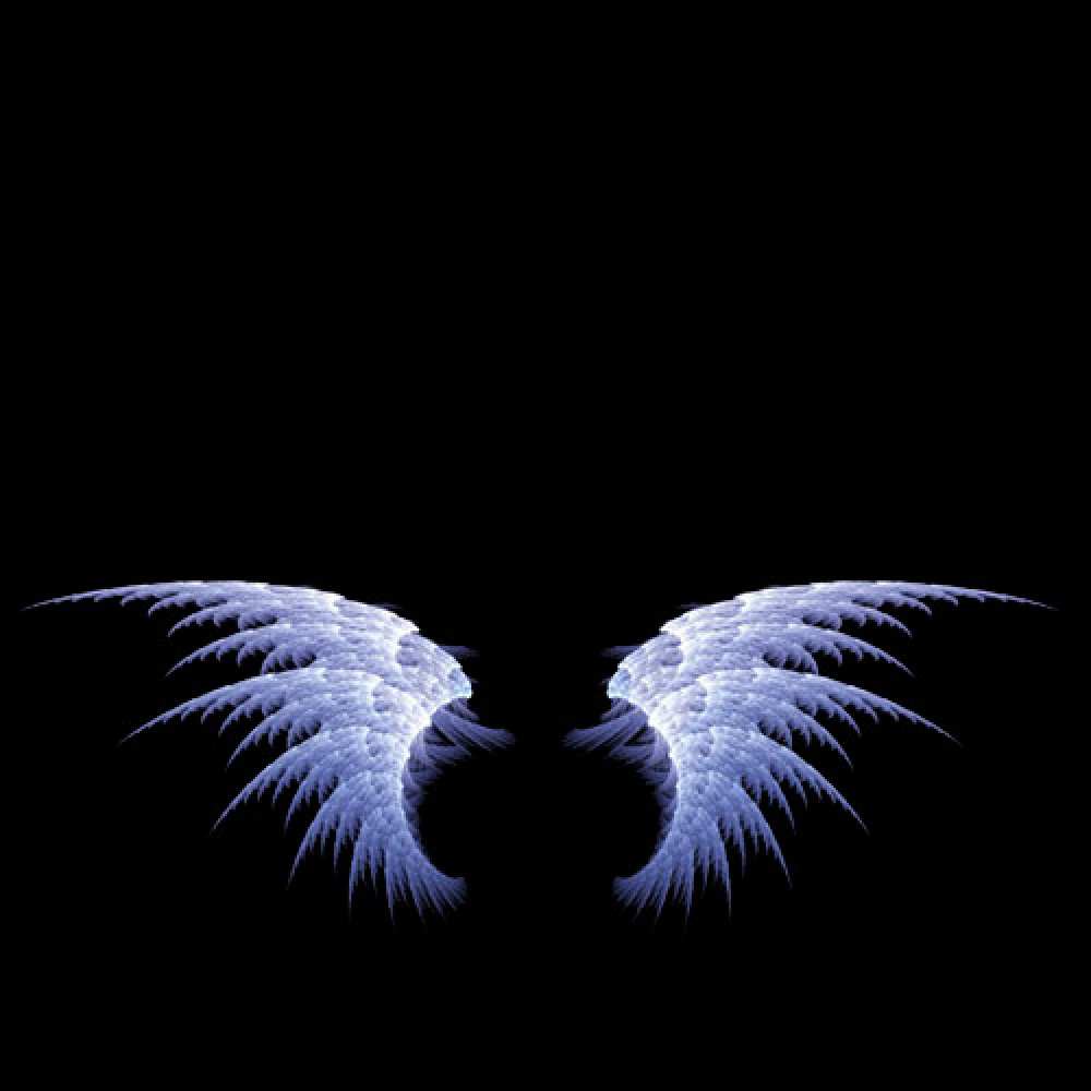Открытка на каждый день с именем, Лев Ты моя радость ангельские крылья на черном фоне Прикольная открытка с пожеланием онлайн скачать бесплатно 