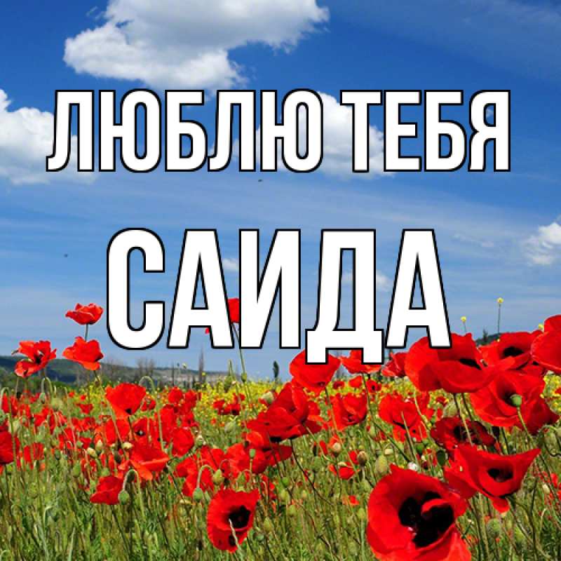 Картинка Люблю тебя, Саида