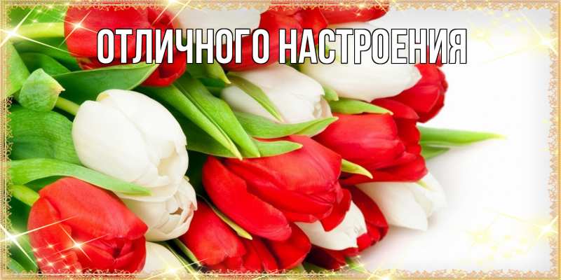 Картинка Люблю тебя, Радосвета