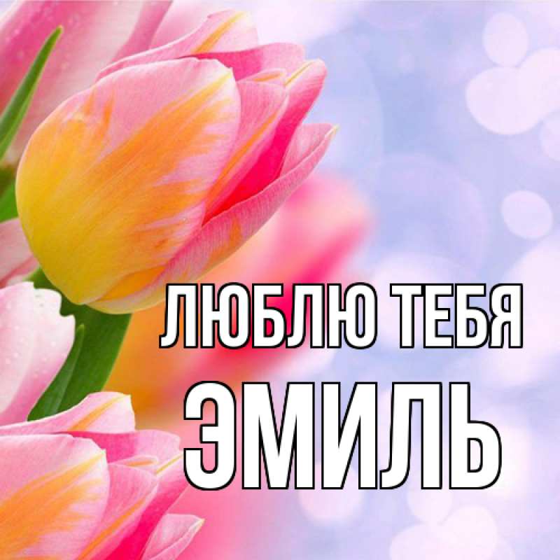 Картинка Люблю тебя, Эмиль