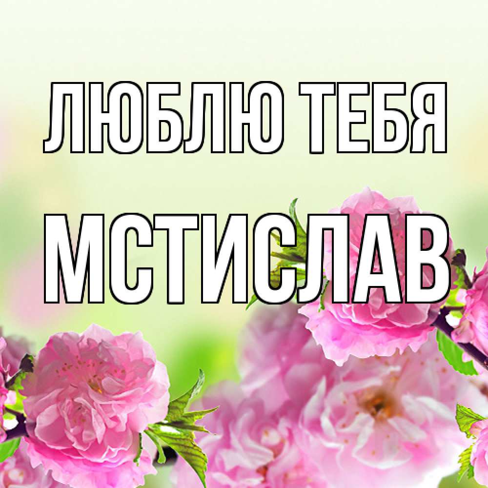 Открытка на каждый день с именем, Мстислав Люблю тебя цветы Прикольная открытка с пожеланием онлайн скачать бесплатно 