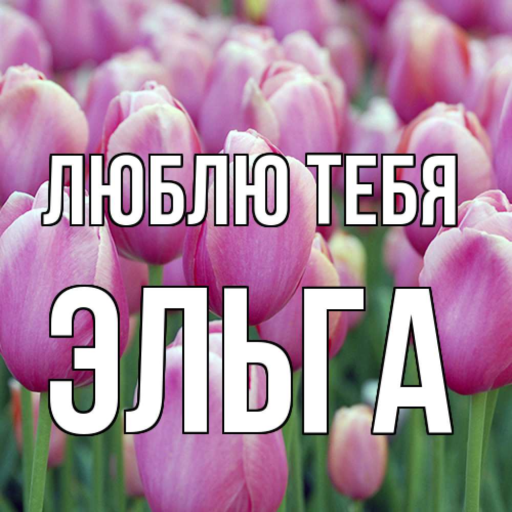 Открытка на каждый день с именем, Эльга Люблю тебя на международный женский день 3 Прикольная открытка с пожеланием онлайн скачать бесплатно 