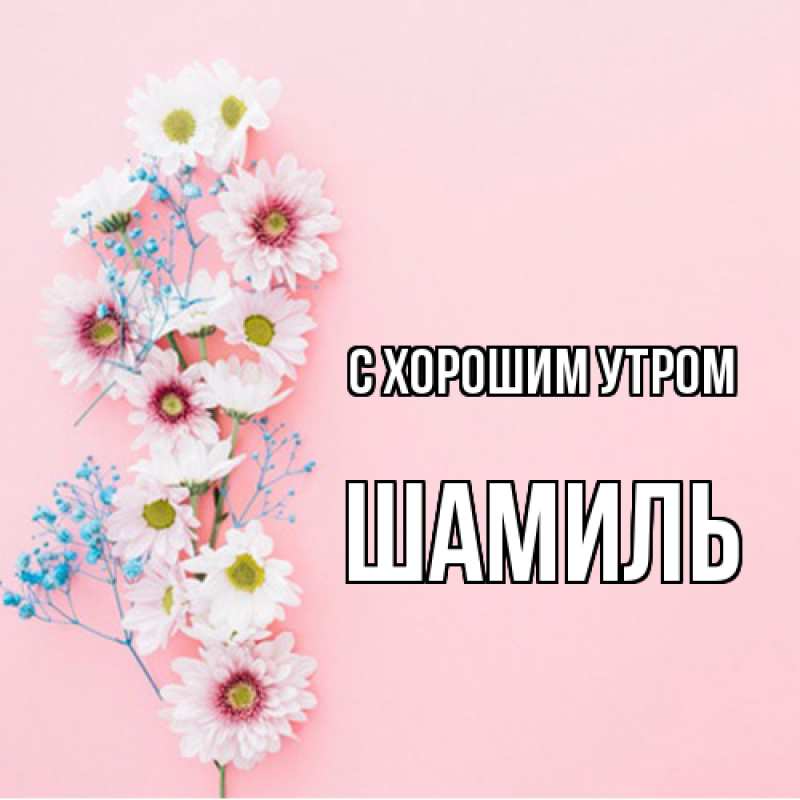 Картинка С хорошим утром, Шамиль