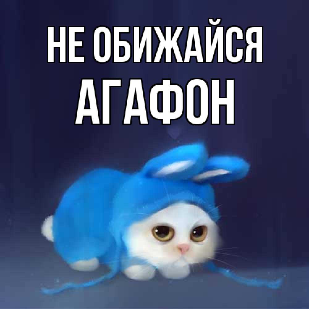 Открытка на каждый день с именем, Агафон Не обижайся невинный котозай просит прощения Прикольная открытка с пожеланием онлайн скачать бесплатно 