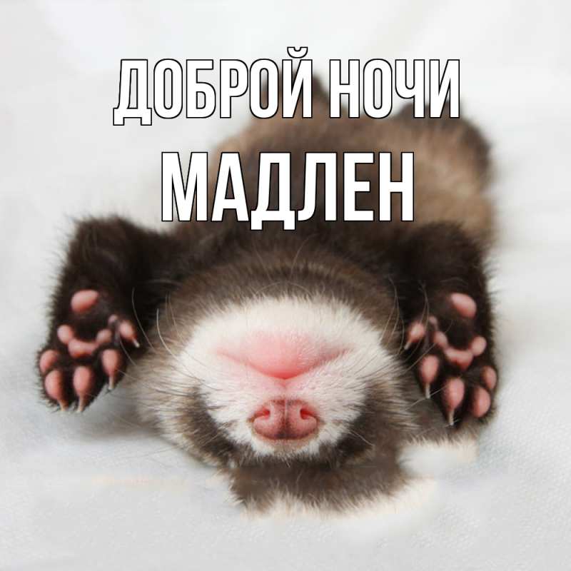 Открытка с именем, Мадлен, Доброй ночи