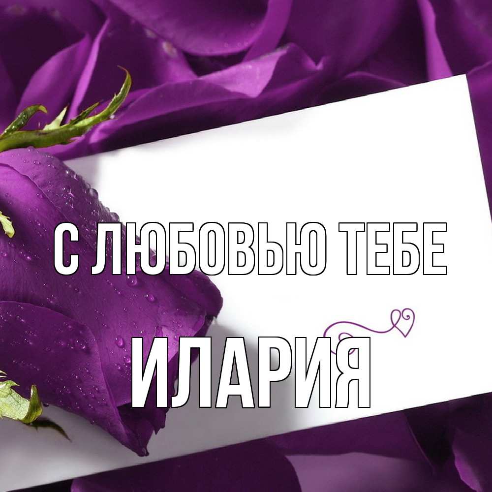 Открытка на каждый день с именем, Илария С любовью тебе роза Прикольная открытка с пожеланием онлайн скачать бесплатно 