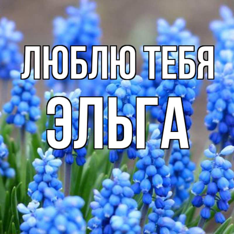 Картинка Люблю тебя, Эльга